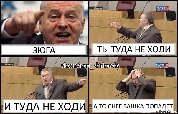 Зюга ты туда не ходи и туда не ходи а то снег башка попадет, Комикс Жирик