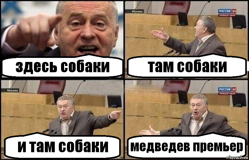 здесь собаки там собаки и там собаки медведев премьер, Комикс Жириновский