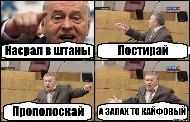 Насрал в штаны Постирай Прополоскай А ЗАПАХ ТО КАЙФОВЫЙ, Комикс Жириновский