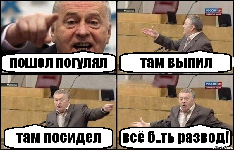 пошол погулял там выпил там посидел всё б..ть развод!, Комикс Жириновский