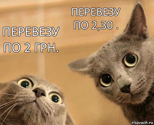 Перевезу по 2 грн. Перевезу по 2,30 ., Комикс  2 кота