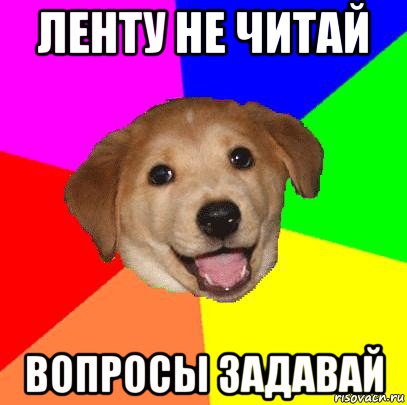 ленту не читай вопросы задавай, Мем Advice Dog