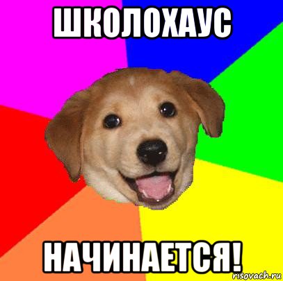 школохаус начинается!, Мем Advice Dog