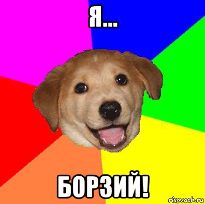 я... борзий!, Мем Advice Dog