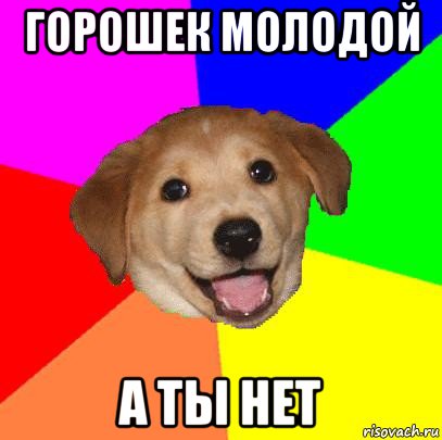 горошек молодой а ты нет, Мем Advice Dog