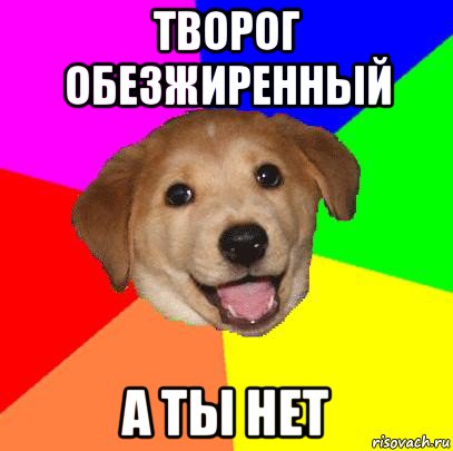 творог обезжиренный а ты нет, Мем Advice Dog