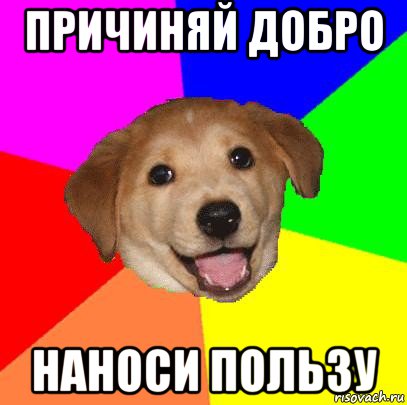 причиняй добро наноси пользу, Мем Advice Dog