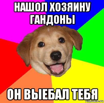 нашол хозяину гандоны он выебал тебя, Мем Advice Dog