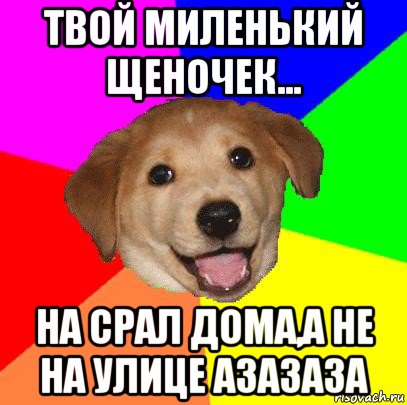 твой миленький щеночек... на срал дома,а не на улице азазаза, Мем Advice Dog