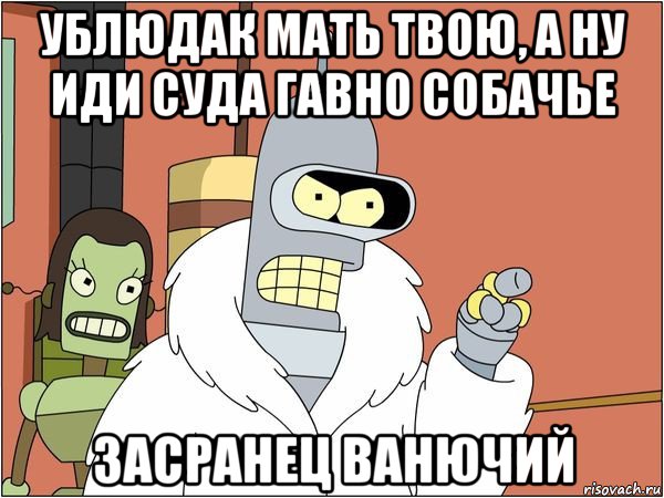 ублюдак мать твою, а ну иди суда гавно собачье засранец ванючий, Мем Бендер