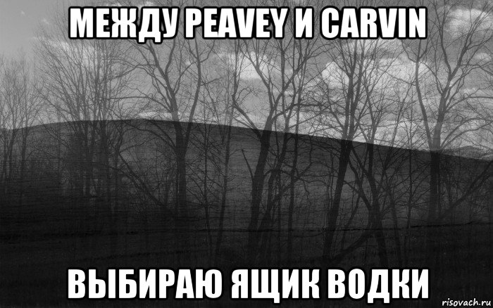 между peavey и carvin выбираю ящик водки