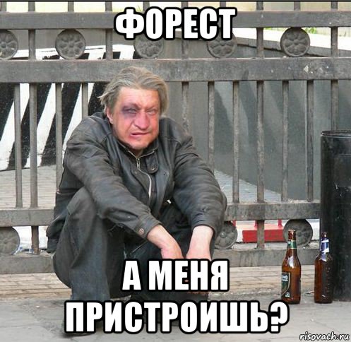 форест а меня пристроишь?