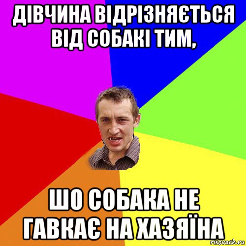 дівчина відрізняється від собакі тим, шо собака не гавкає на хазяїна, Мем Чоткий паца