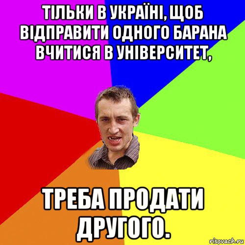 тільки в україні, щоб відправити одного барана вчитися в університет, треба продати другого., Мем Чоткий паца