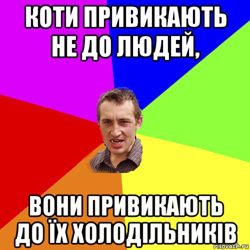 коти привикають не до людей, вони привикають до їх холодільників, Мем Чоткий паца