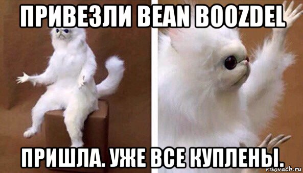 привезли bean boozdel пришла. уже все куплены., Мем Чучело кота