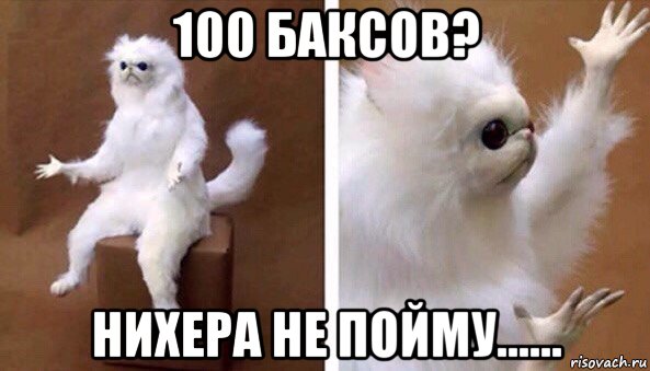 100 баксов? нихера не пойму......, Мем Чучело кота