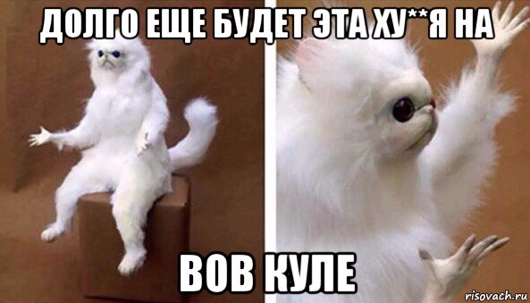 долго еще будет эта ху**я на вов куле, Мем Чучело кота