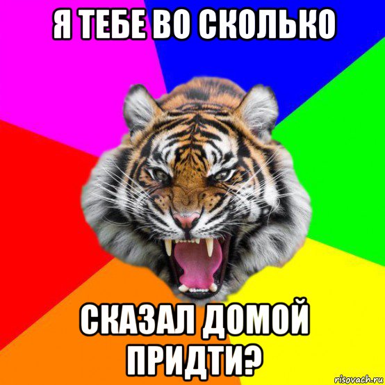 я тебе во сколько сказал домой придти?, Мем  ДЕРЗКИЙ ТИГР