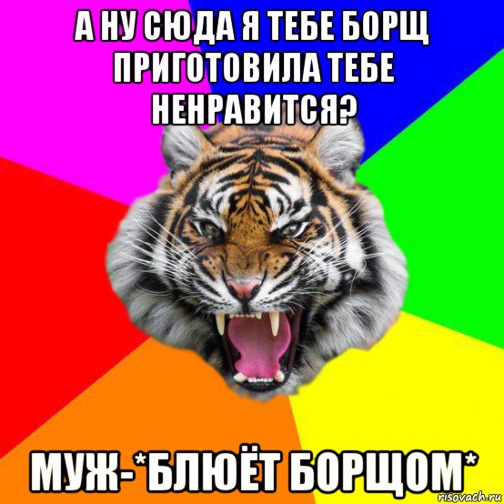 а ну сюда я тебе борщ приготовила тебе ненравится? муж-*блюёт борщом*, Мем  ДЕРЗКИЙ ТИГР