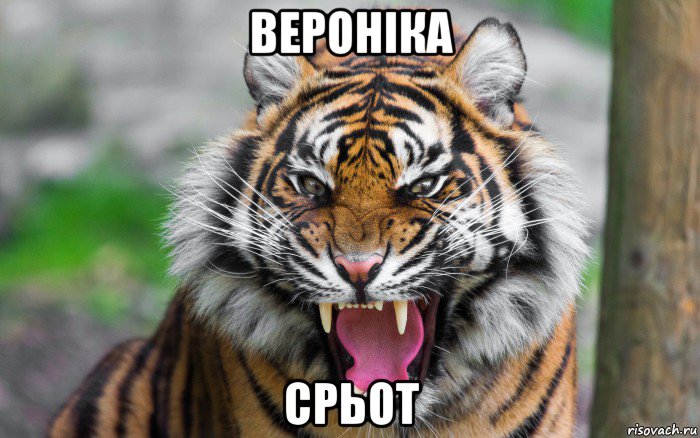 вероніка срьот