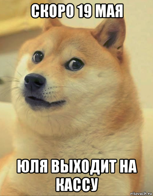 скоро 19 мая юля выходит на кассу, Мем doge woof