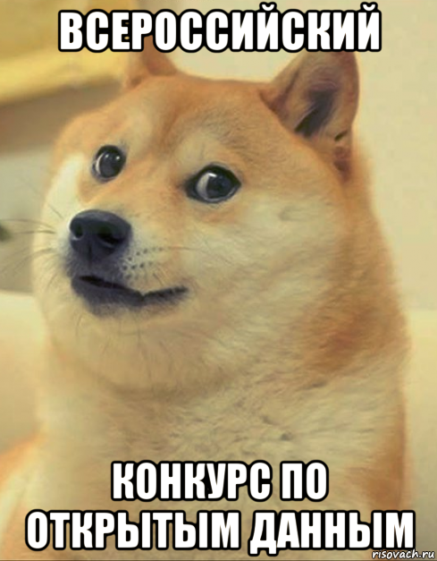 всероссийский конкурс по открытым данным, Мем doge woof