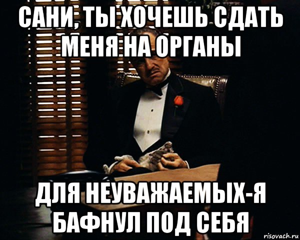 сани, ты хочешь сдать меня на органы для неуважаемых-я бафнул под себя