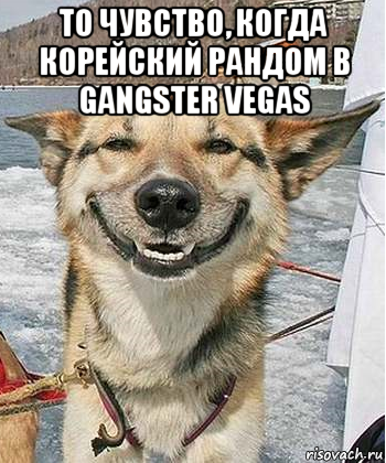 то чувство, когда корейский рандом в gangster vegas , Мем Довольный пес