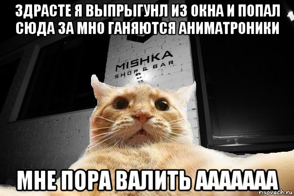 здрасте я выпрыгунл из окна и попал сюда за мно ганяются аниматроники мне пора валить ааааааа, Мем   Джонни Кэтсвилл