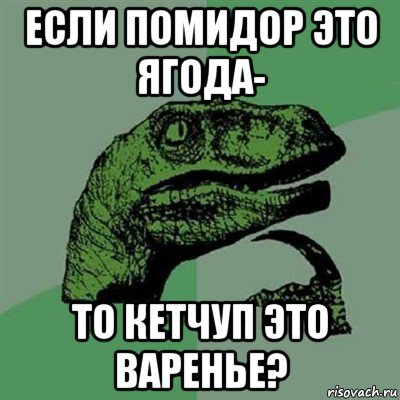 если помидор это ягода- то кетчуп это варенье?, Мем Филосораптор