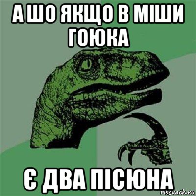 а шо якщо в міши гоюка є два пісюна, Мем Филосораптор