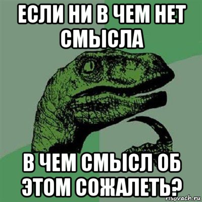 если ни в чем нет смысла в чем смысл об этом сожалеть?, Мем Филосораптор