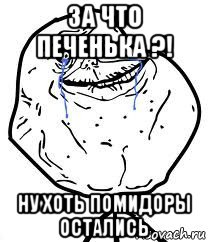 за что печенька ?! ну хоть помидоры остались, Мем Forever Alone