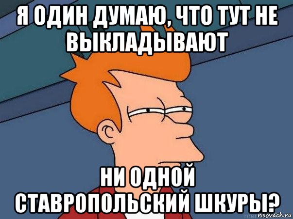 я один думаю, что тут не выкладывают ни одной ставропольский шкуры?, Мем  Фрай (мне кажется или)