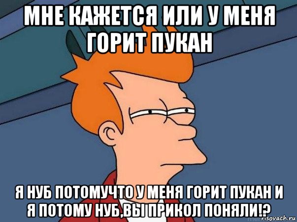 мне кажется или у меня горит пукан я нуб потомучто у меня горит пукан и я потому нуб,вы прикол поняли!?, Мем  Фрай (мне кажется или)