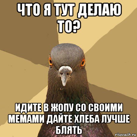 что я тут делаю то? идите в жопу со своими мемами дайте хлеба лучше блять, Мем голубь