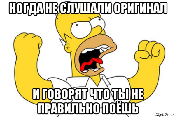 когда не слушали оригинал и говорят что ты не правильно поёшь, Мем Разъяренный Гомер