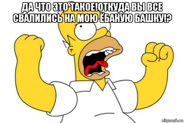 да что это такое!откуда вы все свалились на мою ёбаную башку!? , Мем Разъяренный Гомер