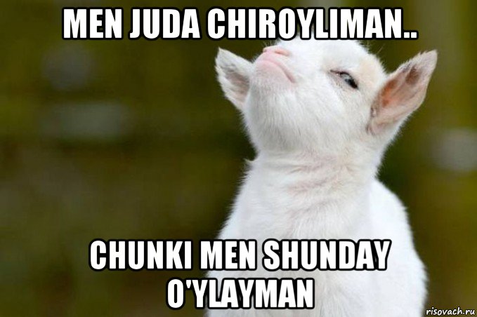 men juda chiroyliman.. chunki men shunday o'ylayman, Мем  Гордый козленок