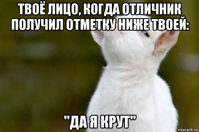 твоё лицо, когда отличник получил отметку ниже твоей: "да я крут", Мем  Гордый козленок