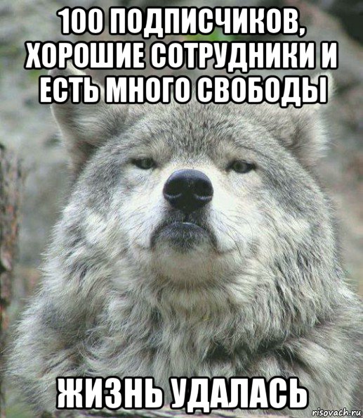 100 подписчиков, хорошие сотрудники и есть много свободы жизнь удалась, Мем    Гордый волк