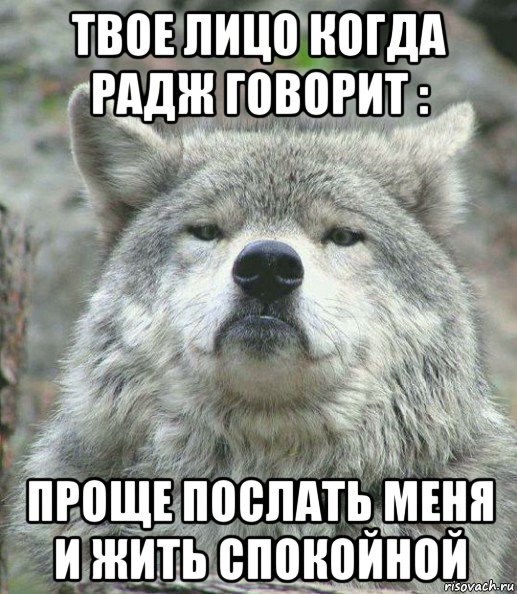 твое лицо когда радж говорит : проще послать меня и жить спокойной, Мем    Гордый волк