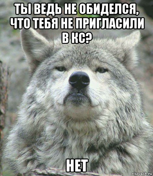 ты ведь не обиделся, что тебя не пригласили в кс? нет, Мем    Гордый волк