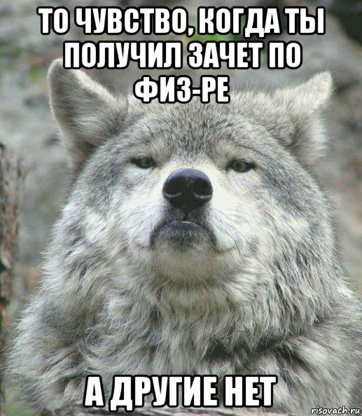 то чувство, когда ты получил зачет по физ-ре а другие нет, Мем    Гордый волк