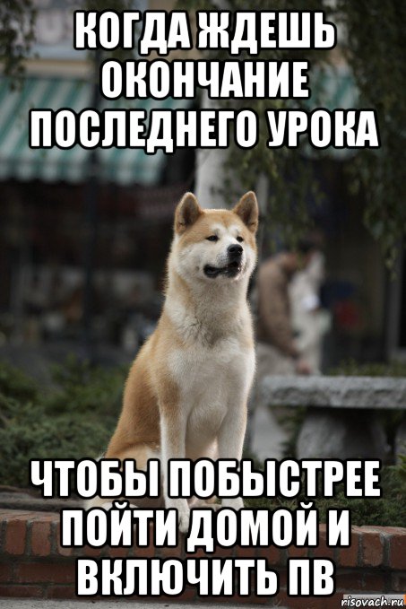 когда ждешь окончание последнего урока чтобы побыстрее пойти домой и включить пв