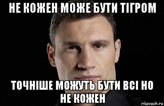 не кожен може бути тігром точніше можуть бути всі но не кожен, Мем Кличко