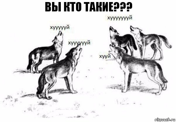 Вы кто такие???, Комикс Когда хочешь