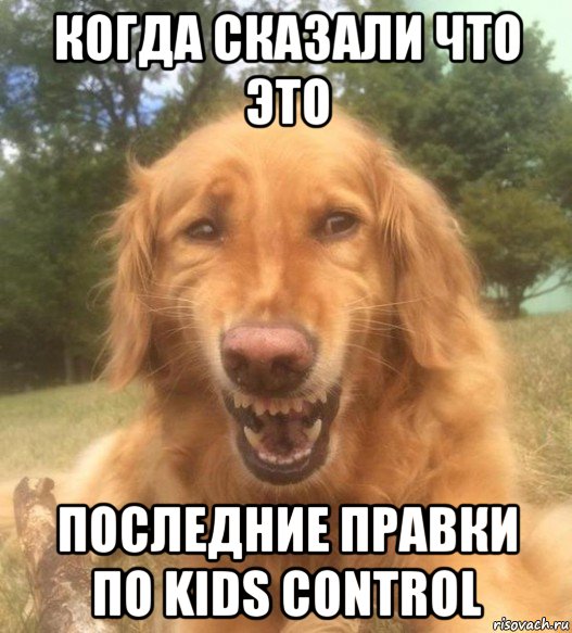 когда сказали что это последние правки по kids control, Мем   Когда увидел что соседского кота отнесли в чебуречную