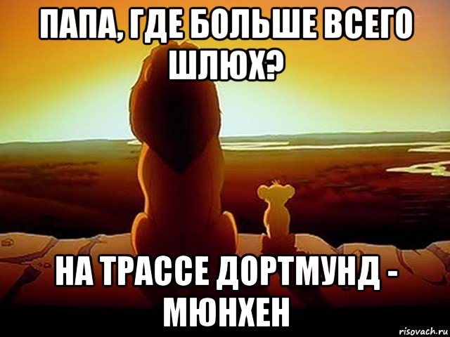 папа, где больше всего шлюх? на трассе дортмунд - мюнхен, Мем  король лев